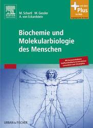 Biochemie und Molekularbiologie des Menschen, 1. Aufl.