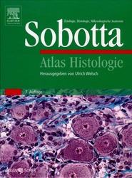Atlas Histologie, 7.A.