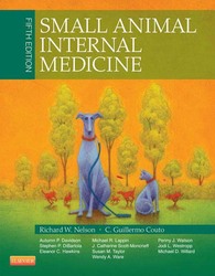 Small Animal Internal Medicine 5E